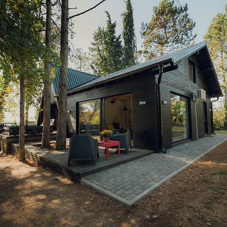 Kuca Za Odmor Vrdnik Villa Ngoại thất bức ảnh